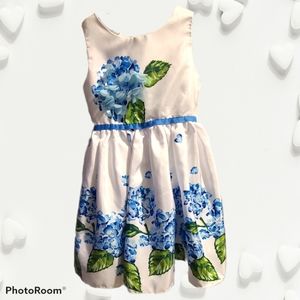 🪗2/$25 Sz6 Sweet Heart Rose dress